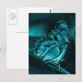 Carte Postale Passion de minuit, Baisers à papillon bleu (Devant / Derrière)