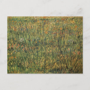 Carte Postale Passion en Fleur par Vincent van Gogh, Art Vintage