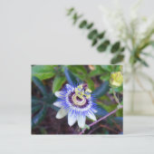 Carte postale Passion Flower (Debout devant)