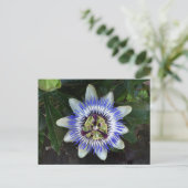 Carte postale Passion Flower #2 (Debout devant)