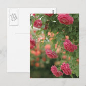 Carte postale Passion rose (Devant / Derrière)