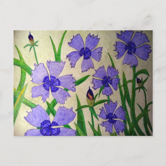 Carte Postale Passion violette (Devant)