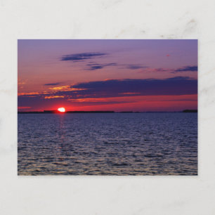 Carte Postale Passion violette