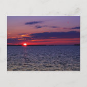 Carte Postale Passion violette (Devant)