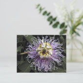 Carte postale Passionflower (Debout devant)