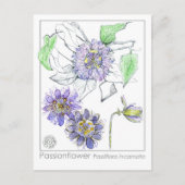 Carte Postale Passionflower Materia Medica Herbal Study Card (Devant)