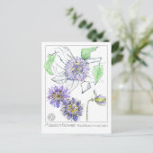 Carte Postale Passionflower Materia Medica Herbal Study Card (Debout devant)