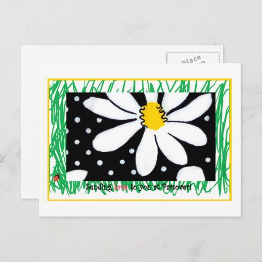 Carte postale Passover Daisy (Devant / Derrière)