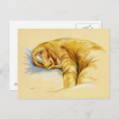 Carte Postale Pastel Chat - Pose Relaxante Tabby Orange (Devant / Derrière)