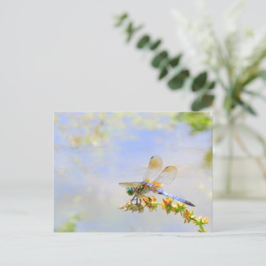 Carte postale Pastel Dragonfly (Debout devant)