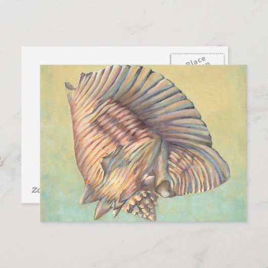 Carte Postale Pastel Large Conch Shell (Devant / Derrière)