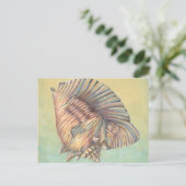 Carte Postale Pastel Large Conch Shell (Debout devant)