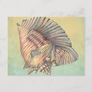 Carte Postale Pastel Large Conch Shell
