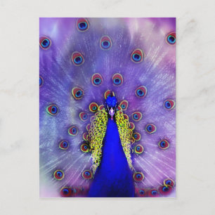 Carte Postale Pastel Peacock Blue Bird