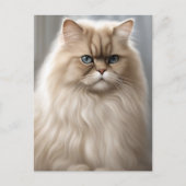 Carte Postale Pastel Persian Portrait de chat (Devant)