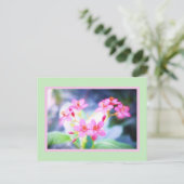 Carte postale Pastel Rose Fleurs (Debout devant)