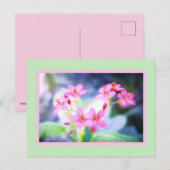 Carte postale Pastel Rose Fleurs (Devant / Derrière)
