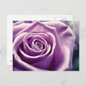 Carte postale Pastel Rose (lilas muet) (Devant / Derrière)