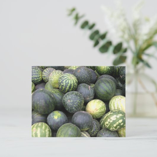 Carte Postale pastèque (Debout devant)