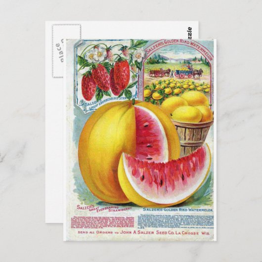 Carte Postale Pastèque de sel (Devant / Derrière)