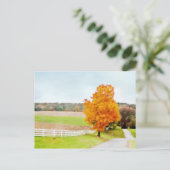 Carte Postale Pasture d'automne (Debout devant)