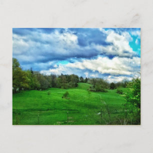 CARTE POSTALE PASTURE HILLSIDE