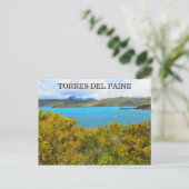 Carte Postale patagonie jaune (Debout devant)