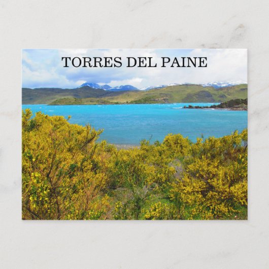 Carte Postale patagonie jaune (Devant)