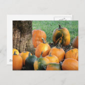 Carte Postale Patch citrouille Par Un Arborescence (Devant / Derrière)