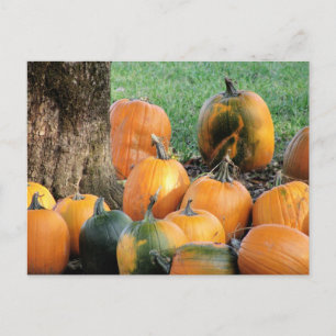 Carte Postale Patch citrouille Par Un Arborescence