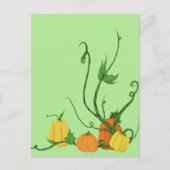 Carte Postale Patch de citrouilles (Devant)