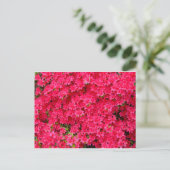 Carte Postale Patch de fleurs Red Azalea (Debout devant)