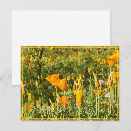 Carte Postale Patch de pavot brillant (Devant / Derrière)