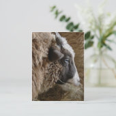 Carte Postale Patchwork Amy (Debout devant)