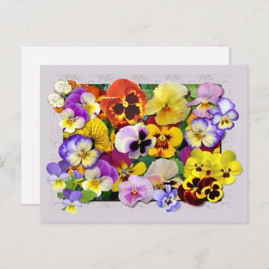 CARTE POSTALE PATCHWORK PANSY (Devant / Derrière)