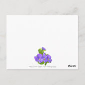 CARTE POSTALE PATCHWORK PANSY (Dos)