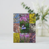 Carte postale Patchwork Spring (Debout devant)