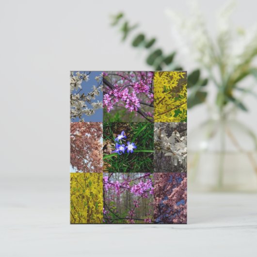 Carte postale Patchwork Spring (Debout devant)