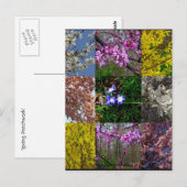 Carte postale Patchwork Spring (Devant / Derrière)