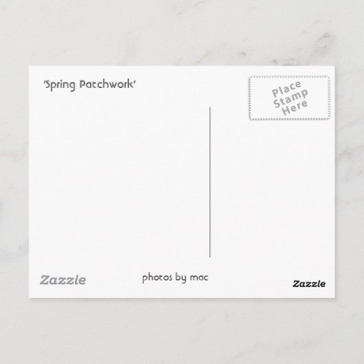 Carte postale Patchwork Spring (Dos)