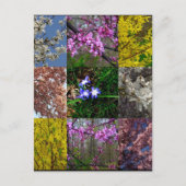 Carte postale Patchwork Spring (Devant)