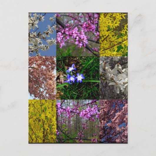 Carte postale Patchwork Spring (Devant)
