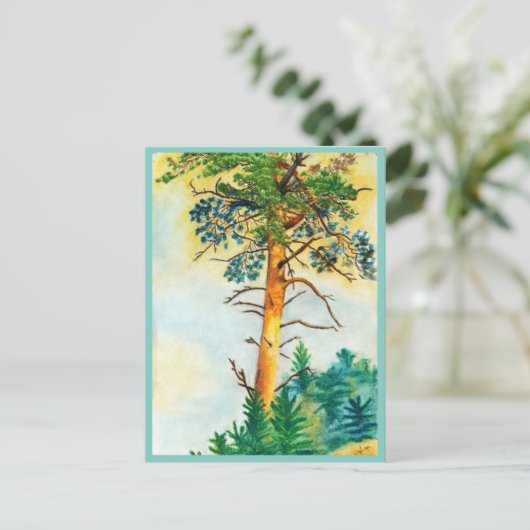 Carte Postale Pâte aux pins (Debout devant)