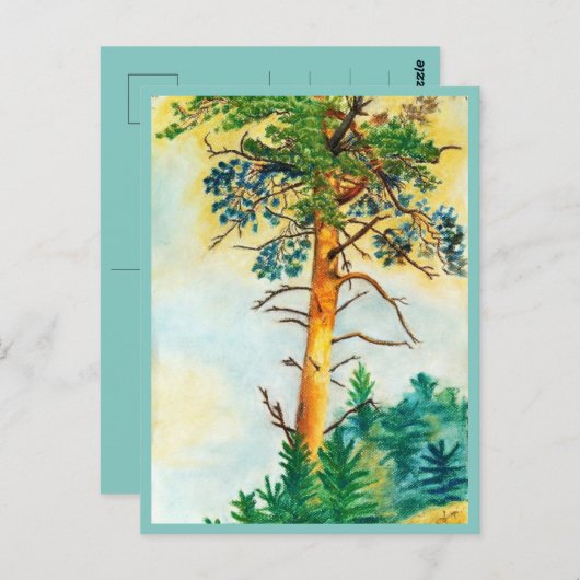 Carte Postale Pâte aux pins (Devant / Derrière)