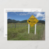 Carte postale Pateke Sign 3 (Devant / Derrière)