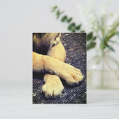 Carte Postale Pâtes (Debout devant)