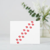 Carte Postale Pâtes de chat (Debout devant)