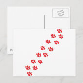 Carte Postale Pâtes de chat (Devant / Derrière)