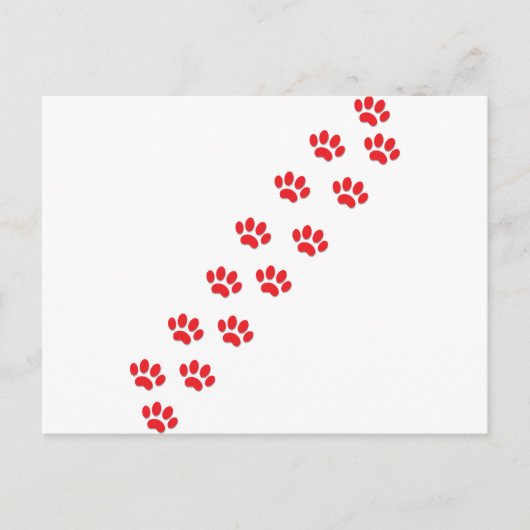 Carte Postale Pâtes de chat (Devant)