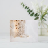 Carte Postale Pâtes de lynx dorés molles dans la neige (Debout devant)